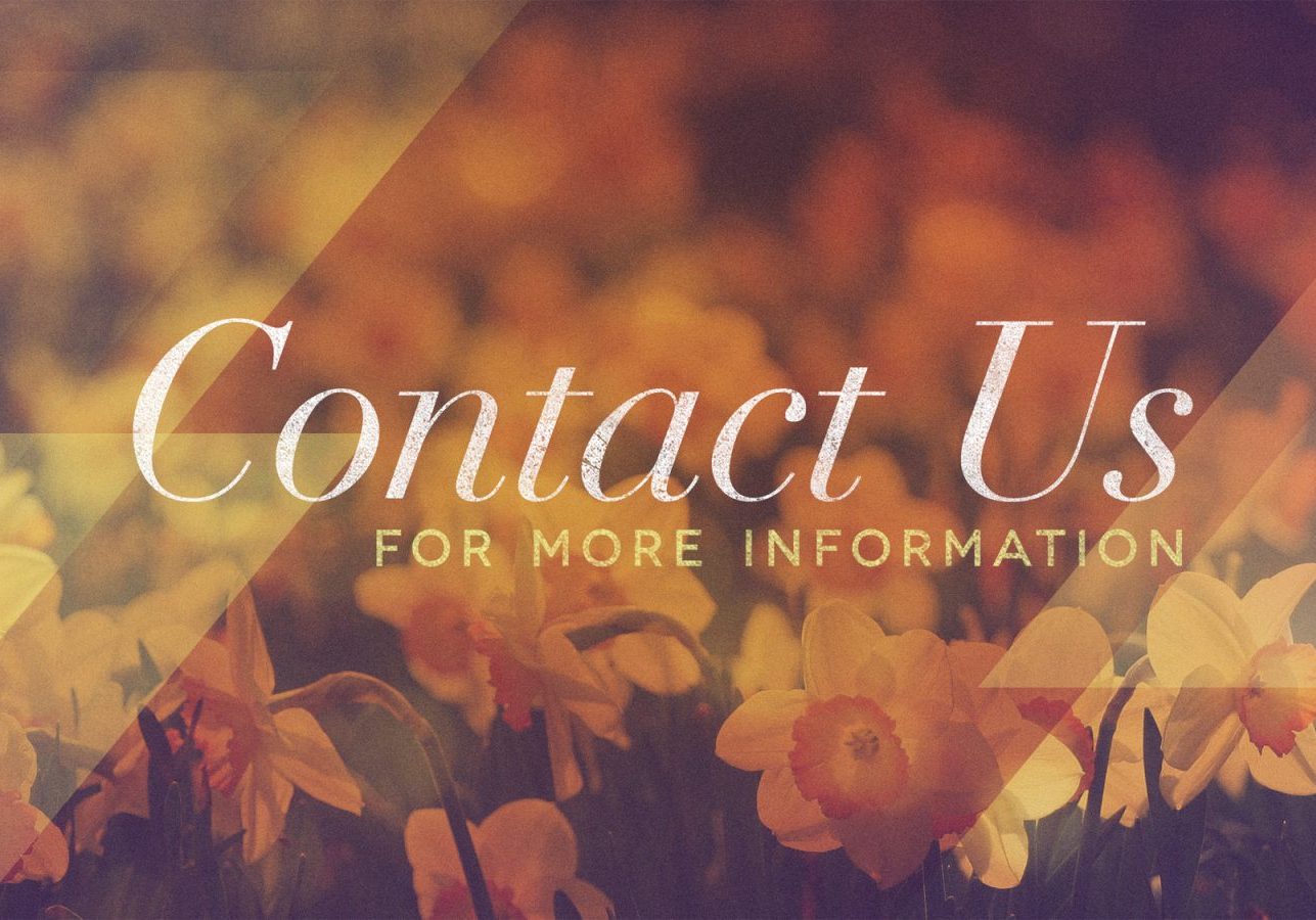 Contact Us - Morning Flowers